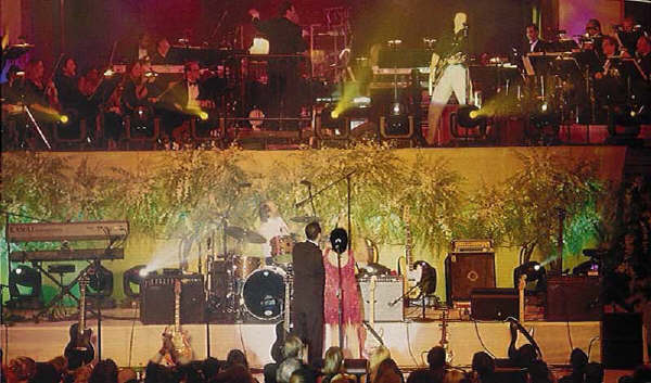 Brian performing at Liza Minnelli's wedding party