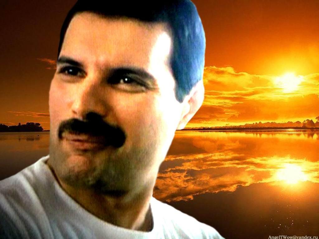 fredddie mercury wallpaper 
