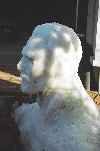 Freddie the showman (snowman)