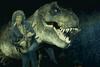 Brian-rex