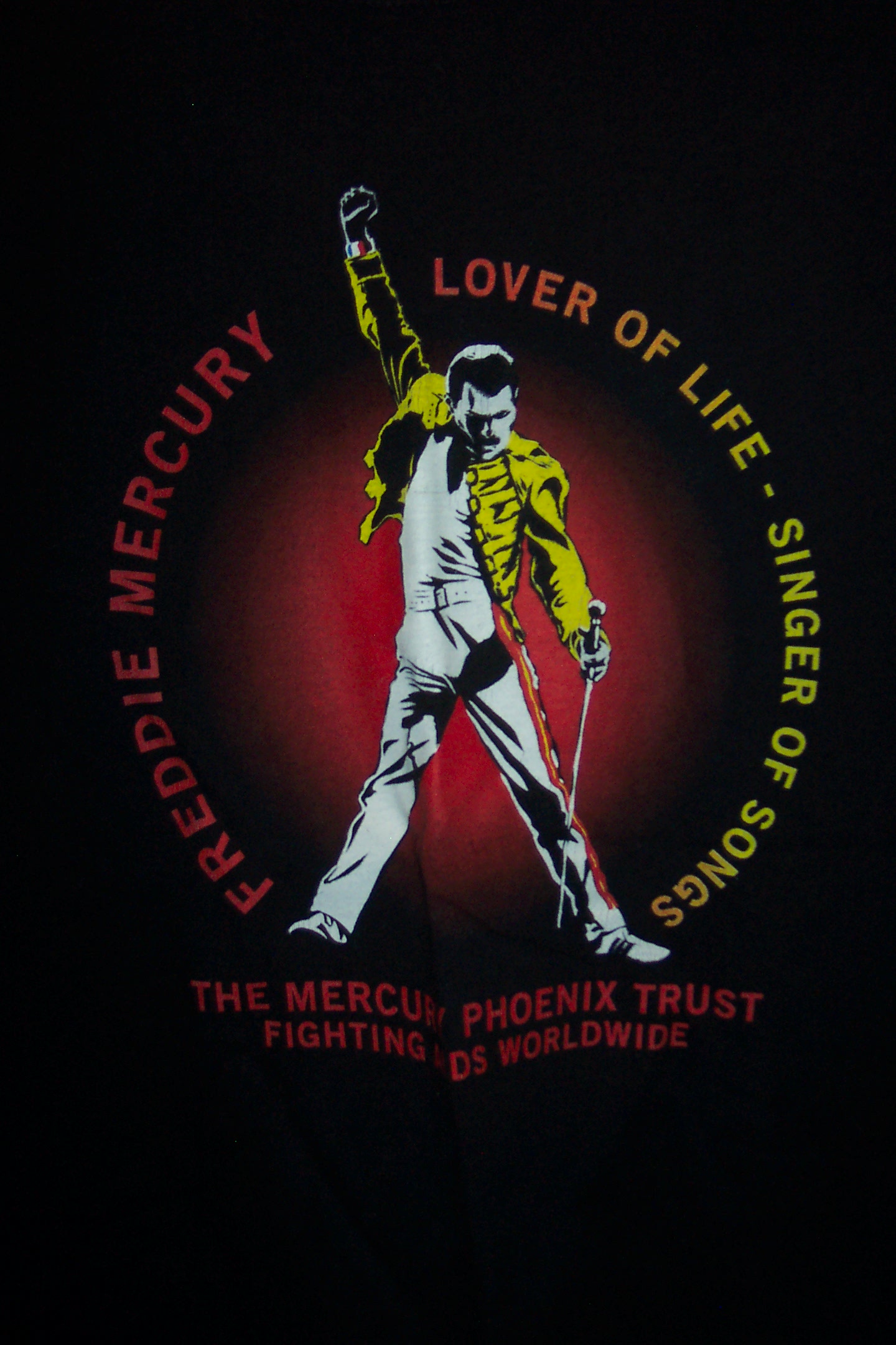 My Freddie Mercury Tribute t-shirt :D