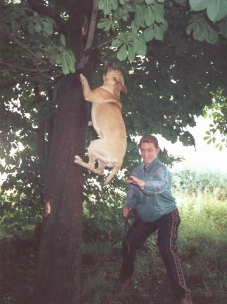 Me & my dog