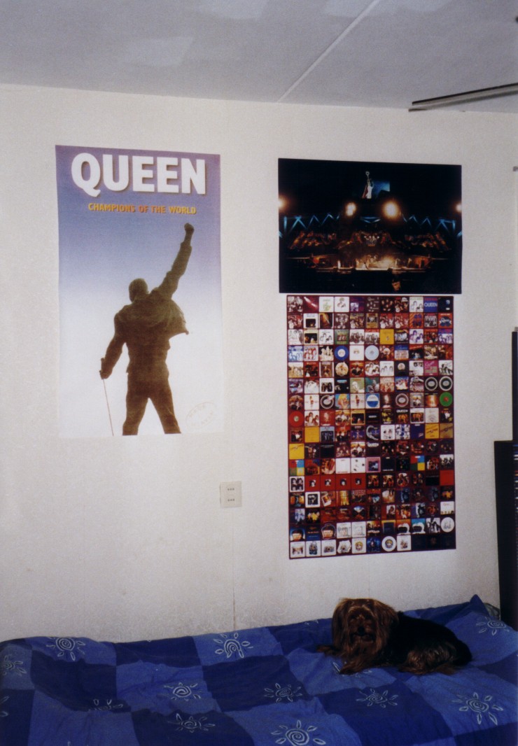 My room take 2 + my little dog Freddie ;-)