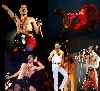 freddie live !