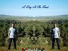 a day at the forest