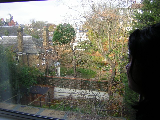 Freddie´s beautiful garden