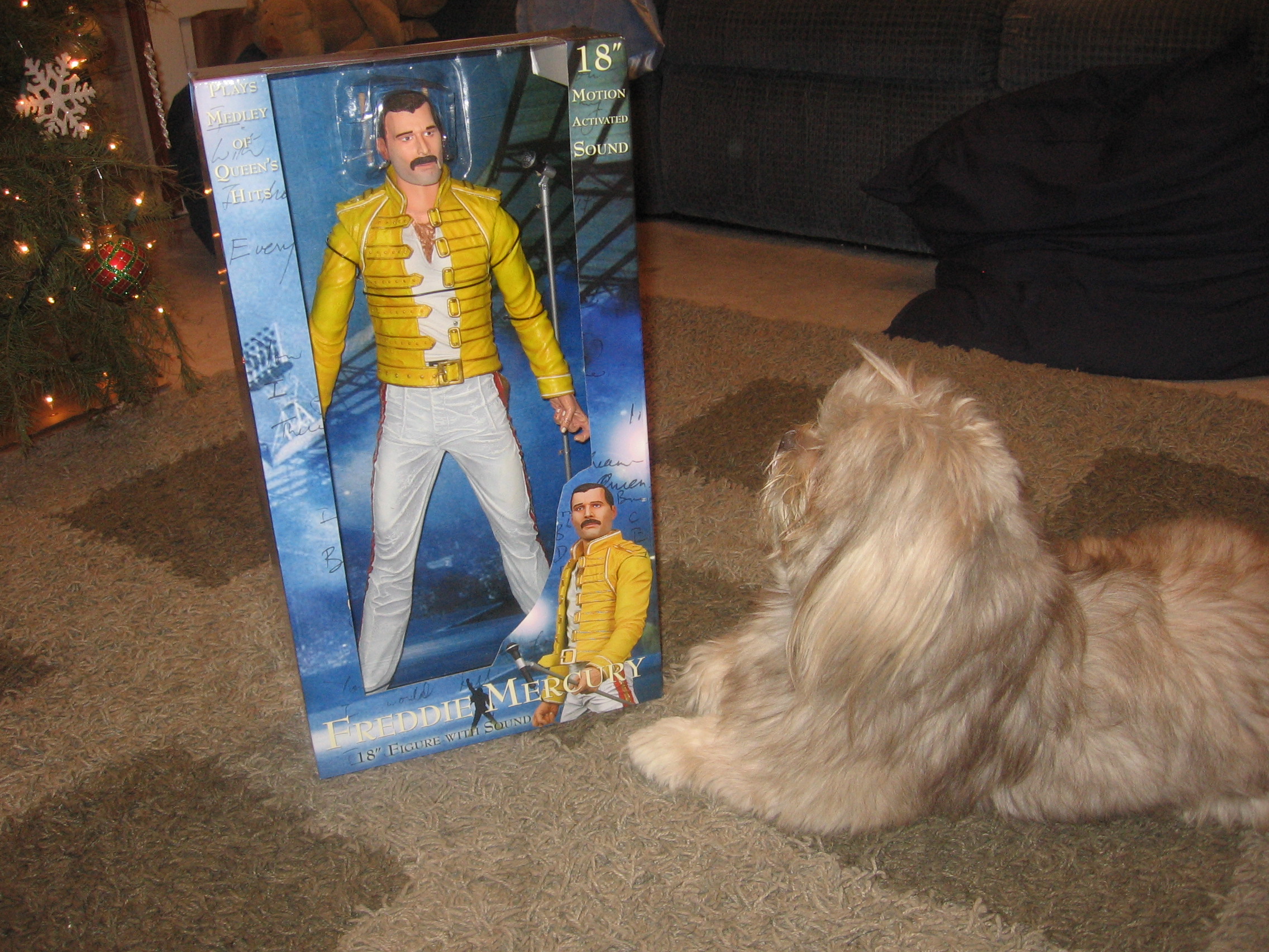 my christmas gift