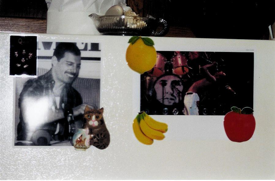 My Freddie refrigerator. He is "petting" the kitty