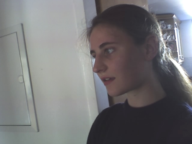 a snapshot of me speaking made by a friend