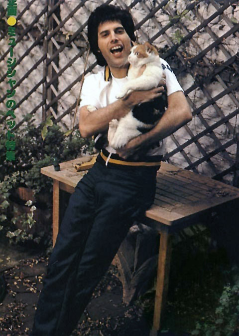 Freddie loved his cats