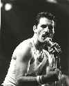 Freddie