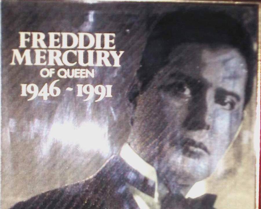 Freddie in frames