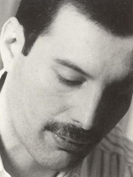 freddie my king!