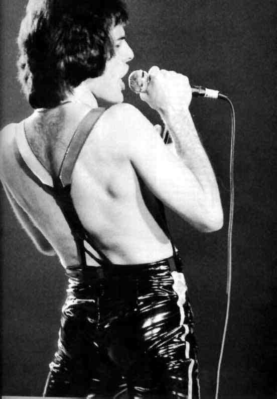 freddie :)