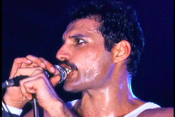 Freddie working
