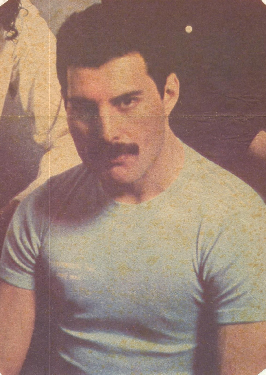 PUBLICADA EN CHILE EN 1984. ¡MUY LINDO FREDDIE!