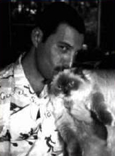 The king Freddie!!!