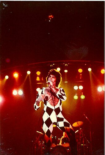 freedie arlequin