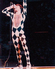 harlequin