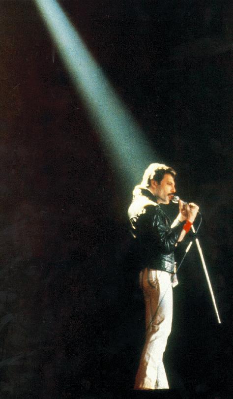 spotlight on...