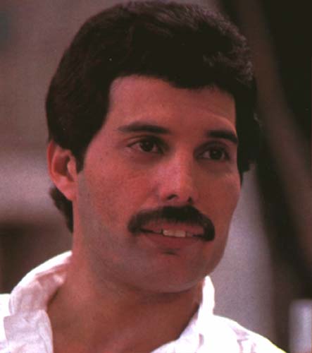 Calm Freddie