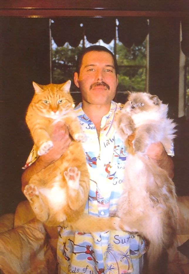 Freddie, Oscar and Tiffany