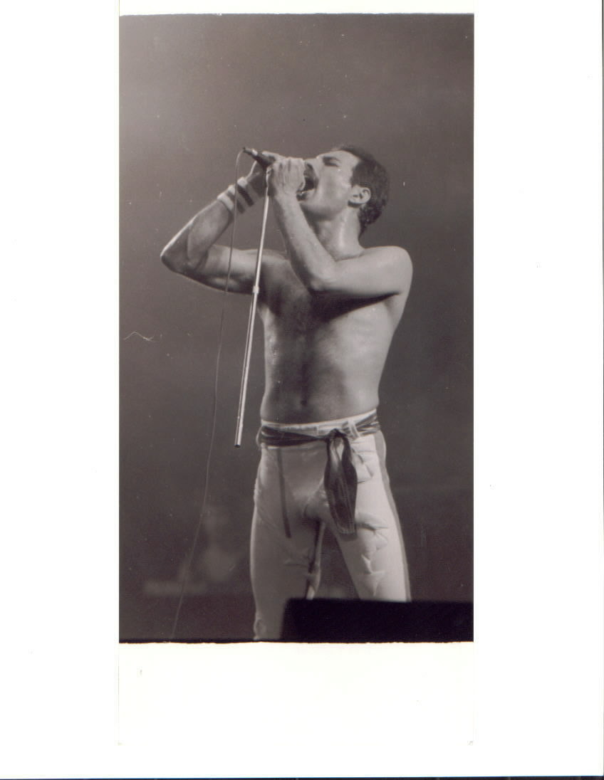 Freddie Mercury/Concert 1981