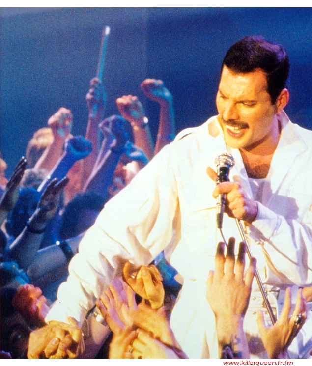 Freddie on Friends will be friends