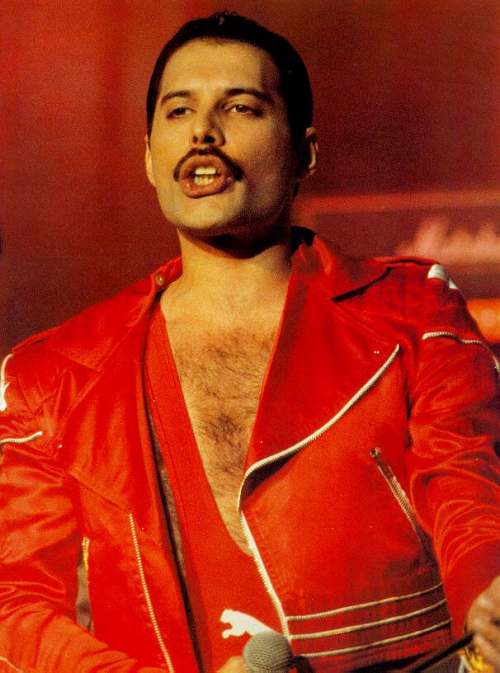 Freddie