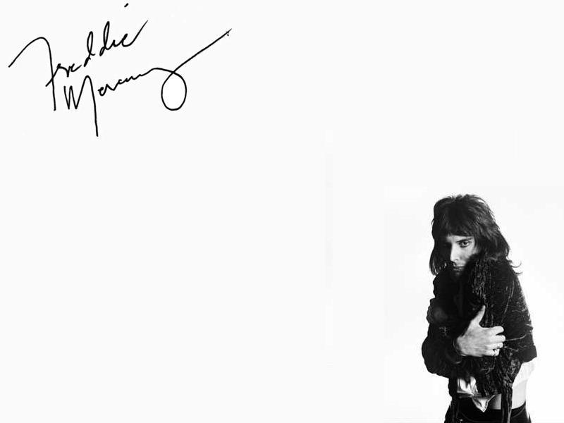 signature wallpaper