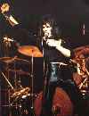 Black Cat Freddie 