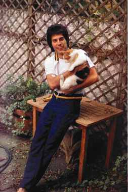 More Kitty..