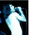 live 1976, hyde park probably