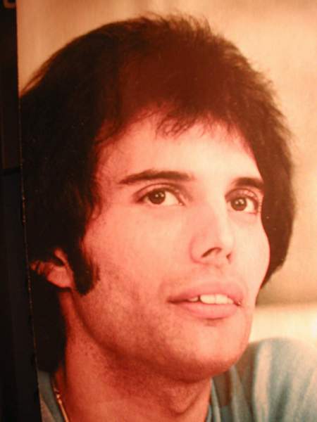 Freddie