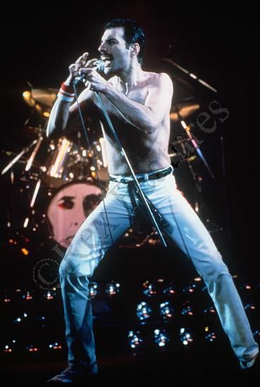 FREDDIE LIVE!!!!!!!!!!!!