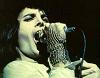 Young Freddie Performing