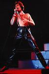 Freddie in late 70's
