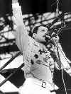 Freddie