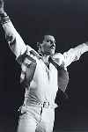Freddie 