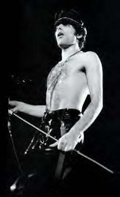 B&W Freddie
