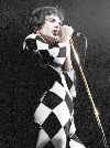 Freddie