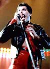"I like leather. i rather fancy myself as a black panther" FM