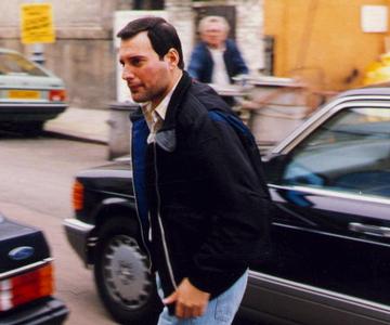 Casual Freddie