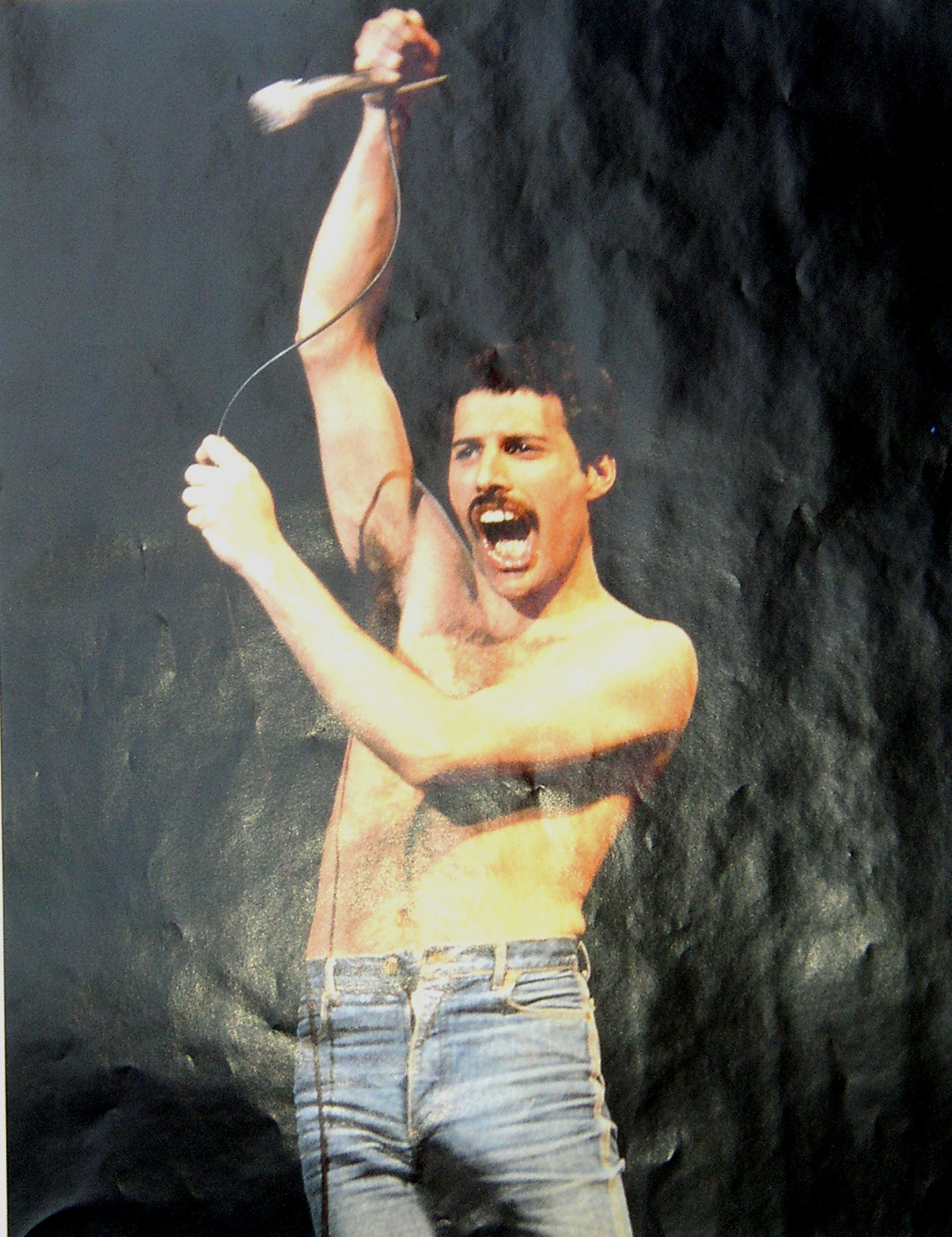 Freddie en the micro
