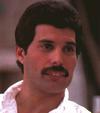 Calm Freddie