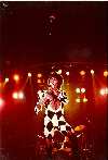 freedie arlequin