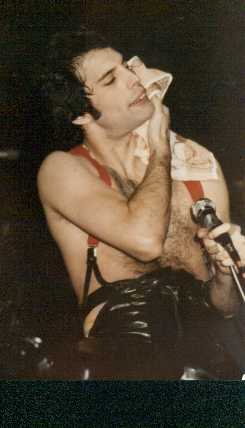 old picture of Freddie live