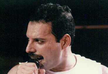 Freddie live