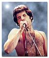 Freddie in 1978