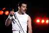 Freddie